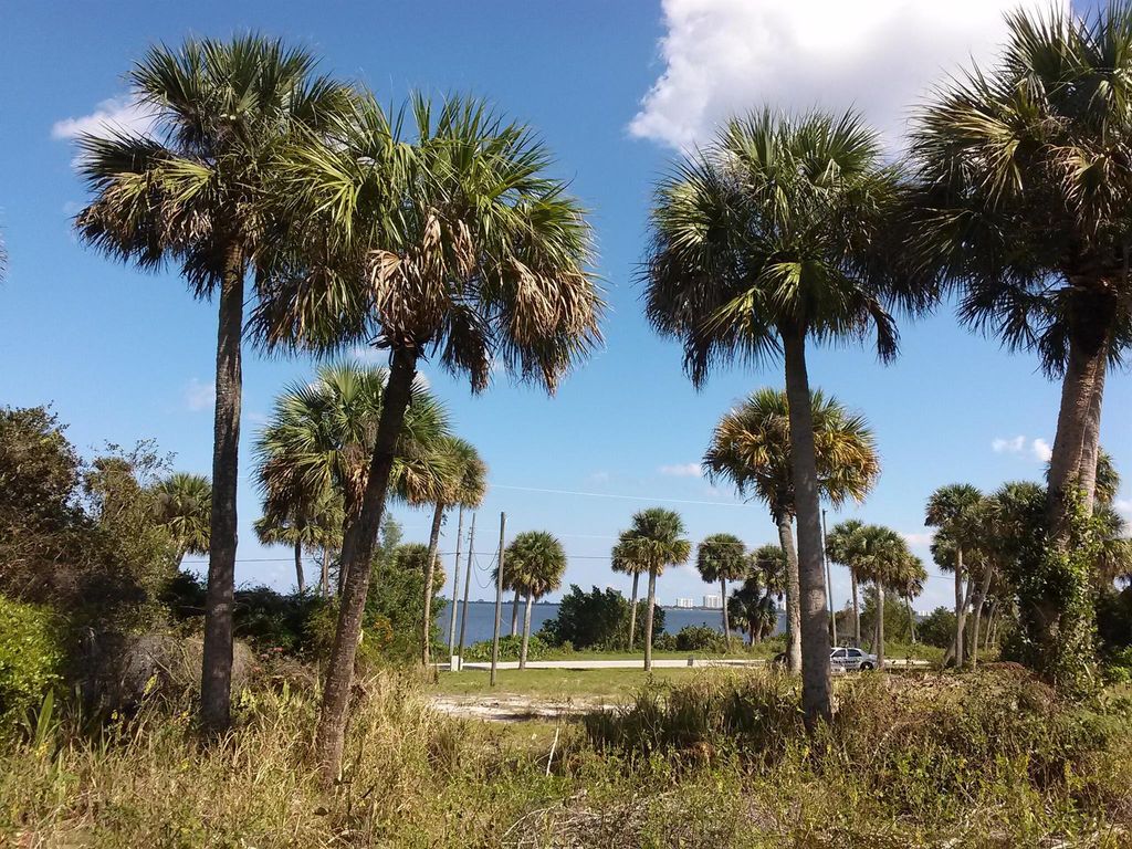 Photo of 10609 S Indian River S Drive, Fort Pierce, FL 34982 (MLS # R11146571)