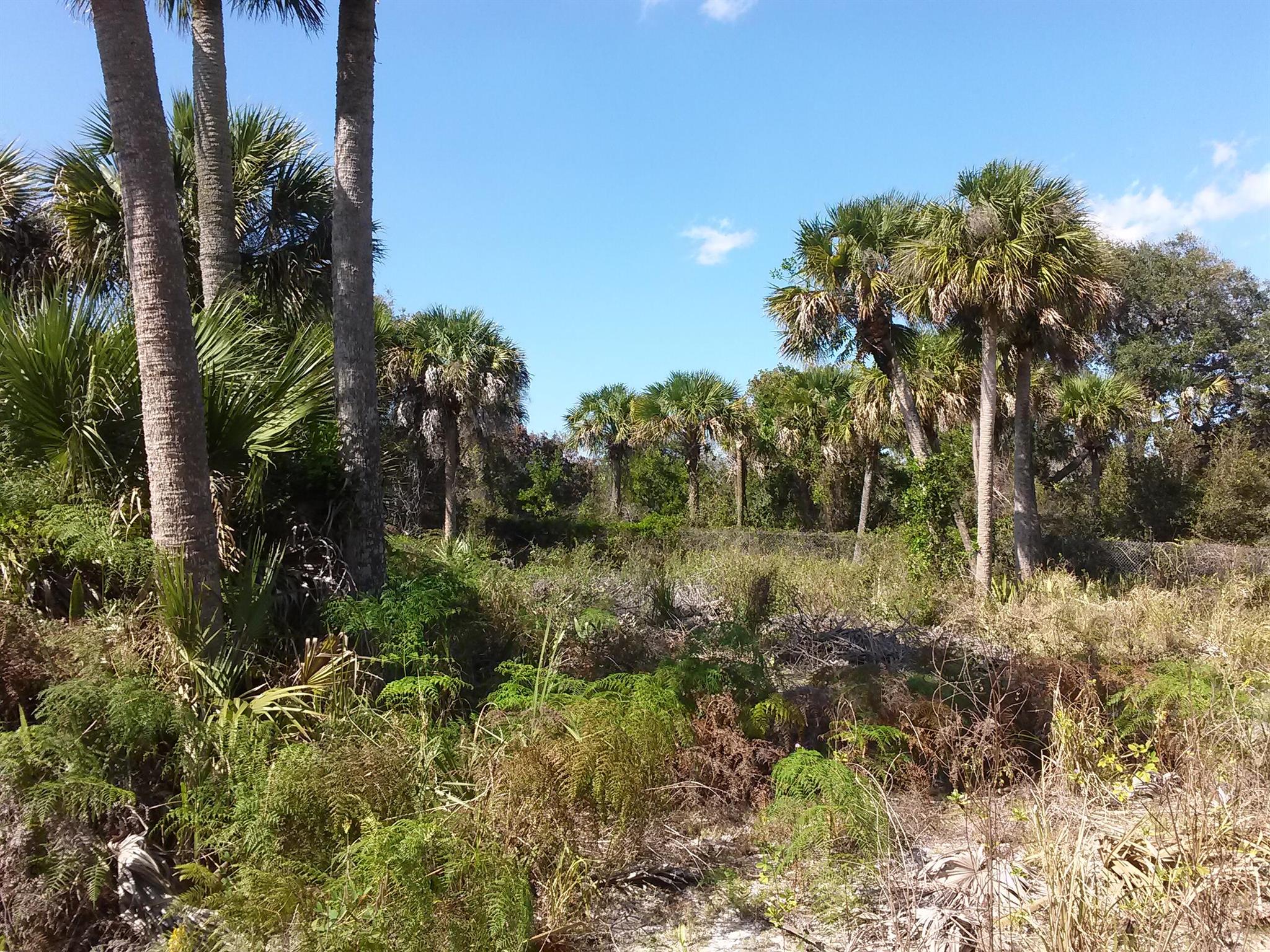 HEERMAN'S SUBDIVISION - Land