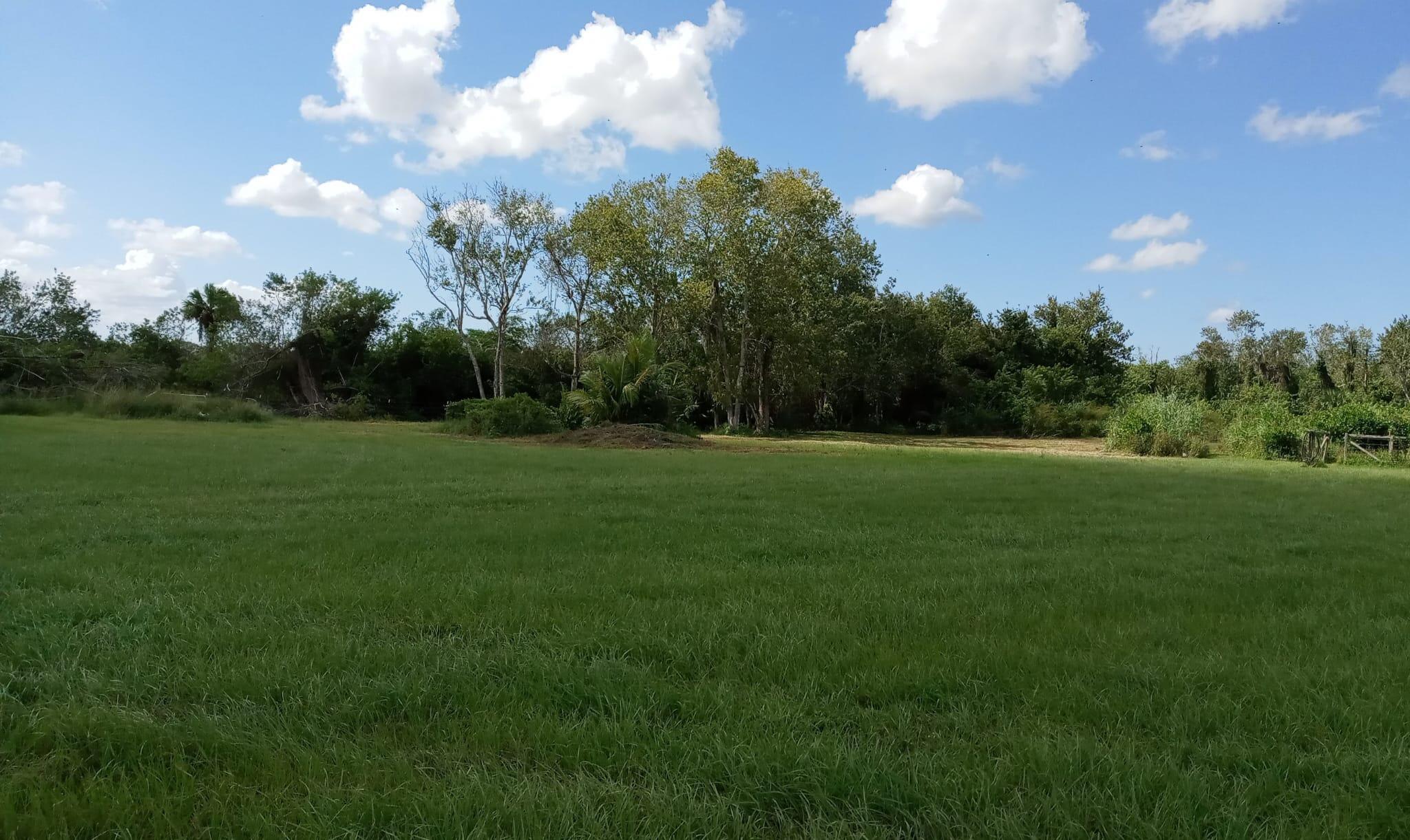 Discover this beautiful land on Fox Brown Rd in Indiantown, FL. This property has the opportunity to build your dream house in an exclusive area just 30 minutes to treasure coast beaches, 10 minutes to Saint Lucie River (boat ramps) with ocean access, only 40 minutes from palm beach county for the major shopping centers, restaurants and attractions, and only 4 miles from Indiantown city. The property has a large space with numerous and exotic fruit trees, appropriate for outdoor activities and enjoying the Florida sunshine, also have a 4'' well 170 feet deep.The serene location has a peaceful retreat while still being conveniently located near local amenities. Don't miss the opportunity to explore this inviting place in a beautiful setting.