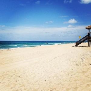 Palmetto Place - Residential Lease