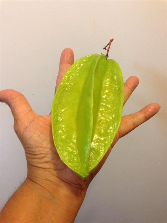 Paradise Gardens Sec 3 72 - Residential