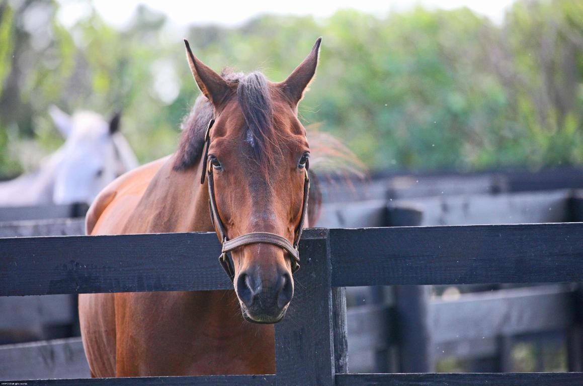 Rustic Ranches Estates - Residential