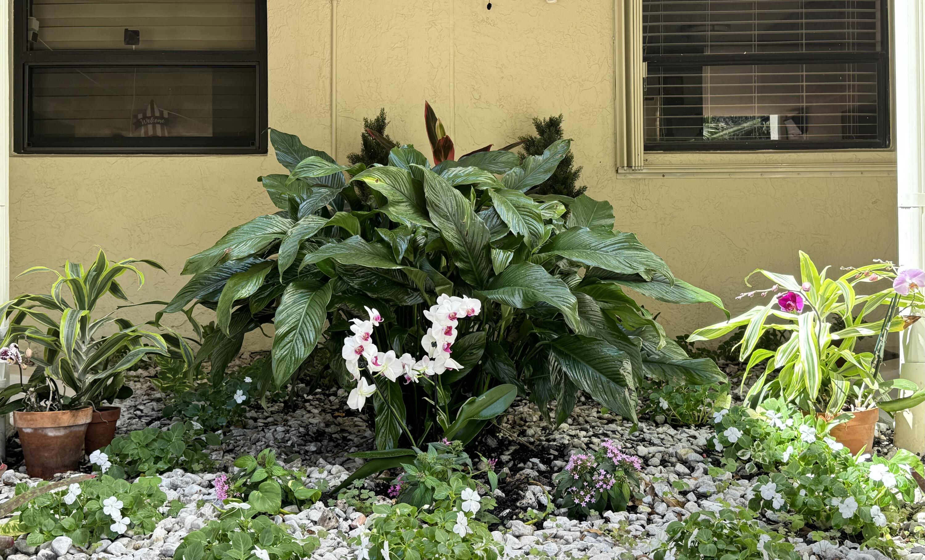 LAKE EMERALD CONDOMINIUM NO - Residential