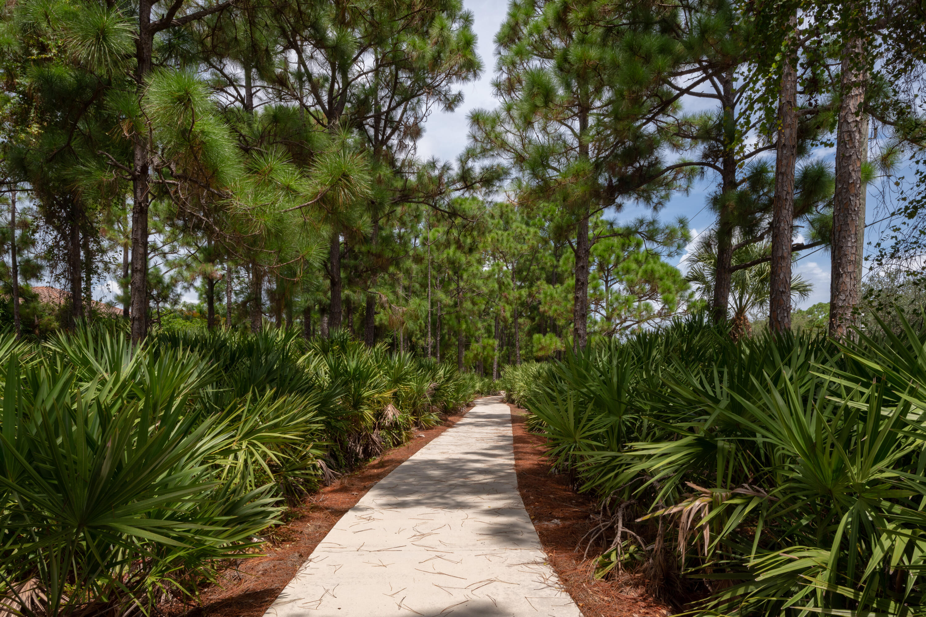 San Michelle - Residential