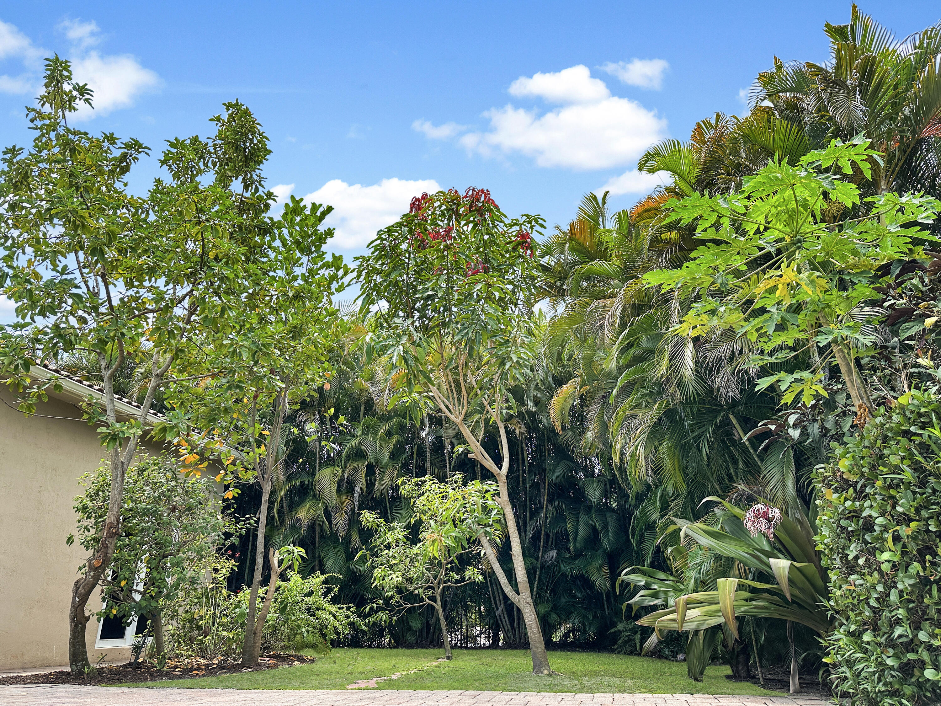 San Michelle - Residential