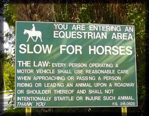 Jupiter Farms - Land