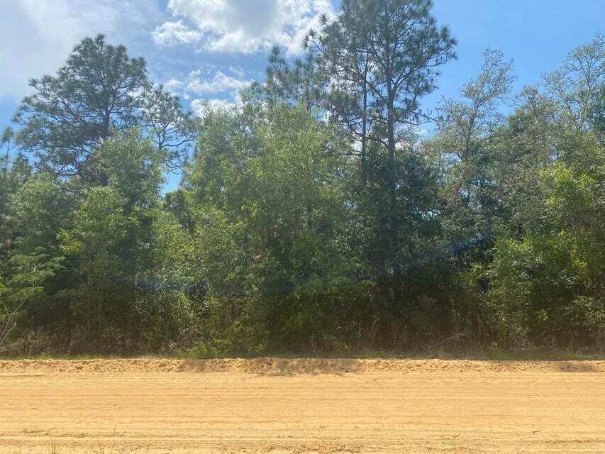 Don't Miss out on this High and dry double lot WITH power poles on this street. Looking to purchase your dream property in Florida, look no further. This lot is listed below market value! Buying Land in Florida is a solid investment for your future, build your dream home, vacation home, rental investment or let the land build value as a great long-term investment to resell for a future profit. Owner Financing Available