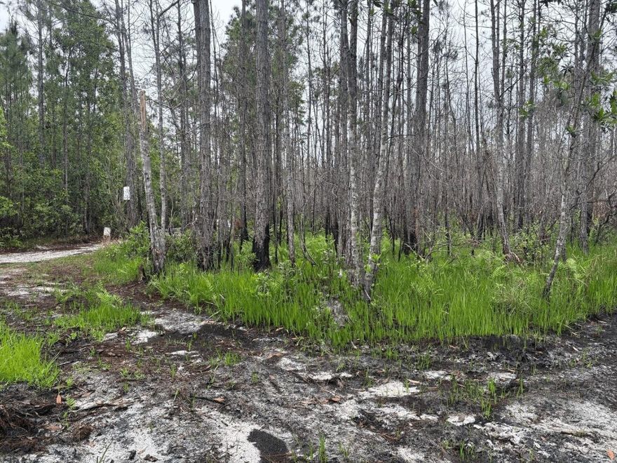 1.27 Acres in Holopaw (Suburban Estates), 10, 000-acre recreational and hunting paradise just minutes from St. Cloud and Orlando. Ideal for four-wheeling, ATV/side-by-side adventures, mudding, camping, hunting, and target shooting Owner Financing Available with only $1, 500 down