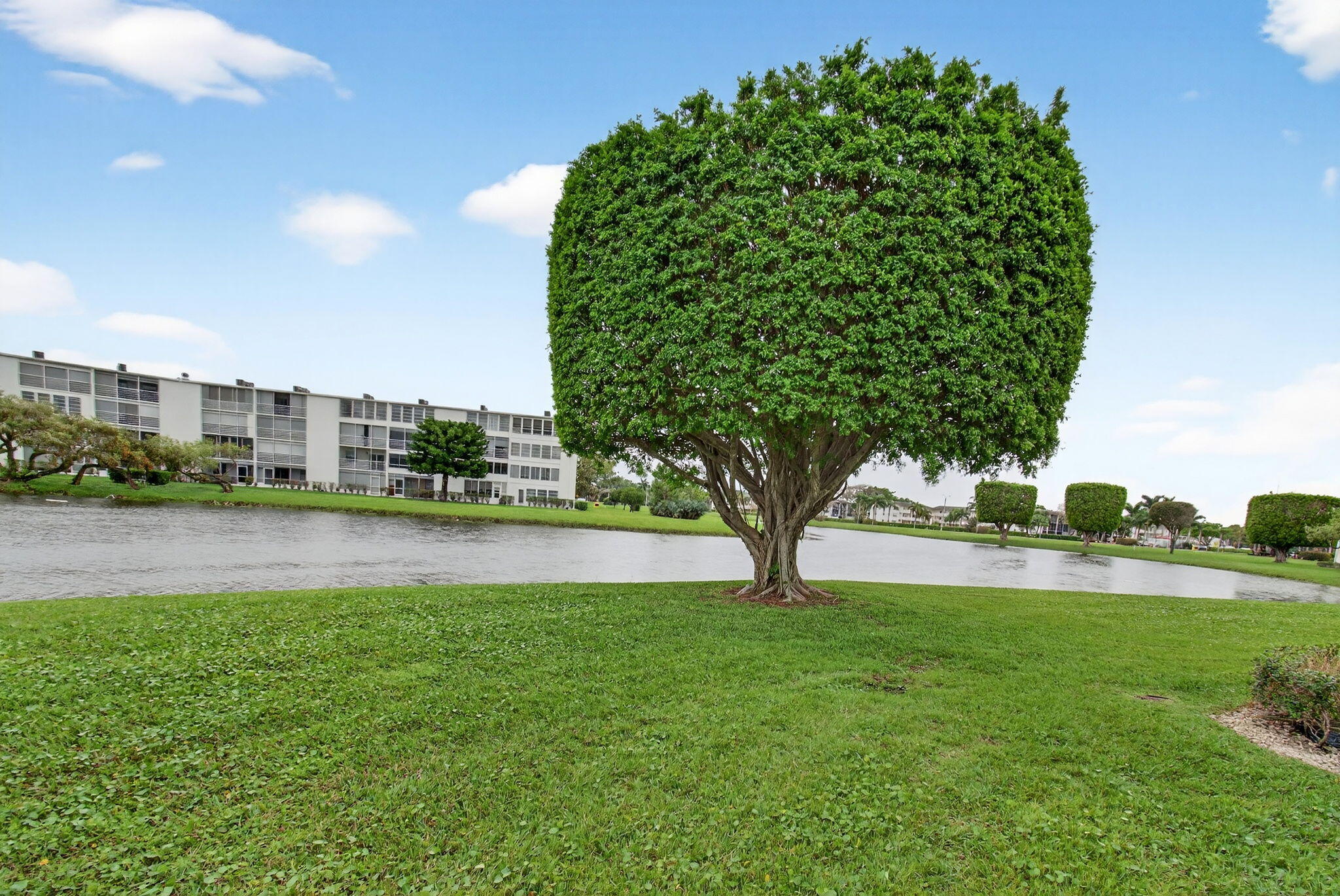 CENTURY VILLAGE - Residential