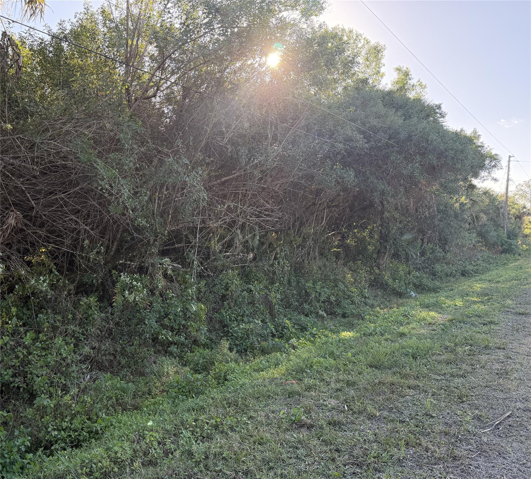 Golden Gate Estate Unit 8 - Land