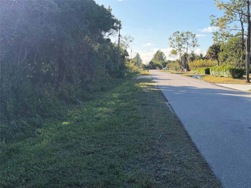 1.14 acre Lot Ready for Dream Home - ERP Permit issued Good Through 2029 - saving you time and money. Rare opportunity to build your custom 3100 sq ft home and save quite a bit of money on permitting This area is growing many new construction homes all around. This lot is still very private on a paved road with electric at the road. Property is not far from Naples Beaches and South of Ave Maria University.. clear and COMPLETED PROTECTED SPECIES REPORT...State DEP 404 mitigation Costs have been paid for you. Transferable ARMY CORPS OF ENGINEERS APPROVAL is ready to go. Call for additional information and copy of reports.