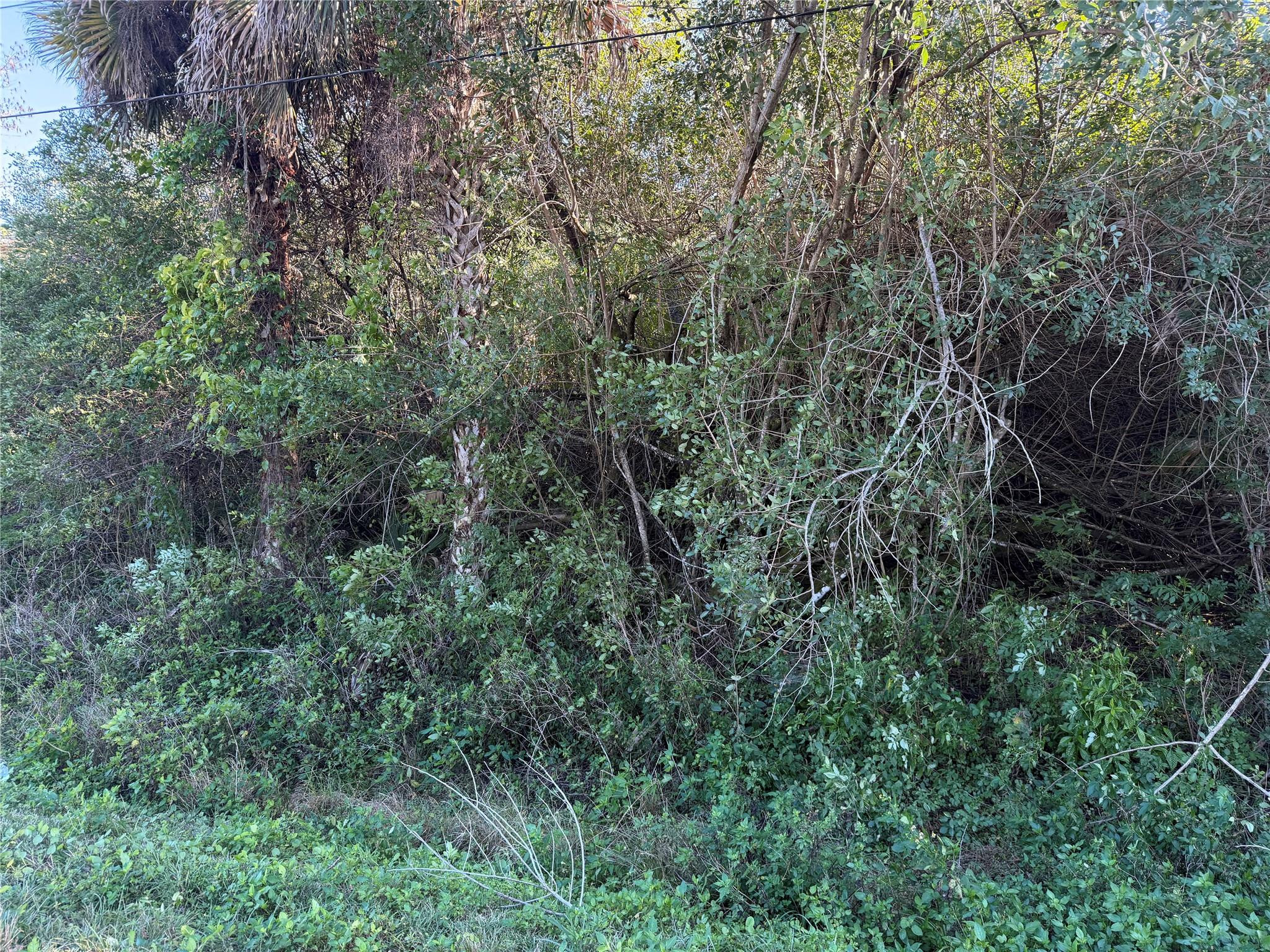 Golden Gate Estate Unit 8 - Land