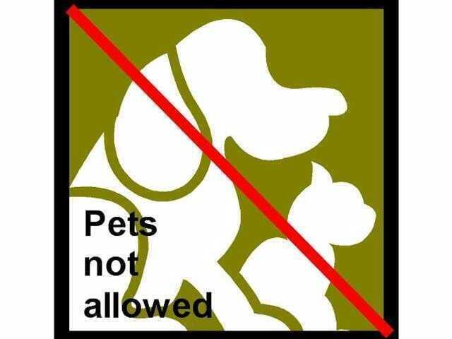 PALMETTO PLACE CONDO - Residential Lease