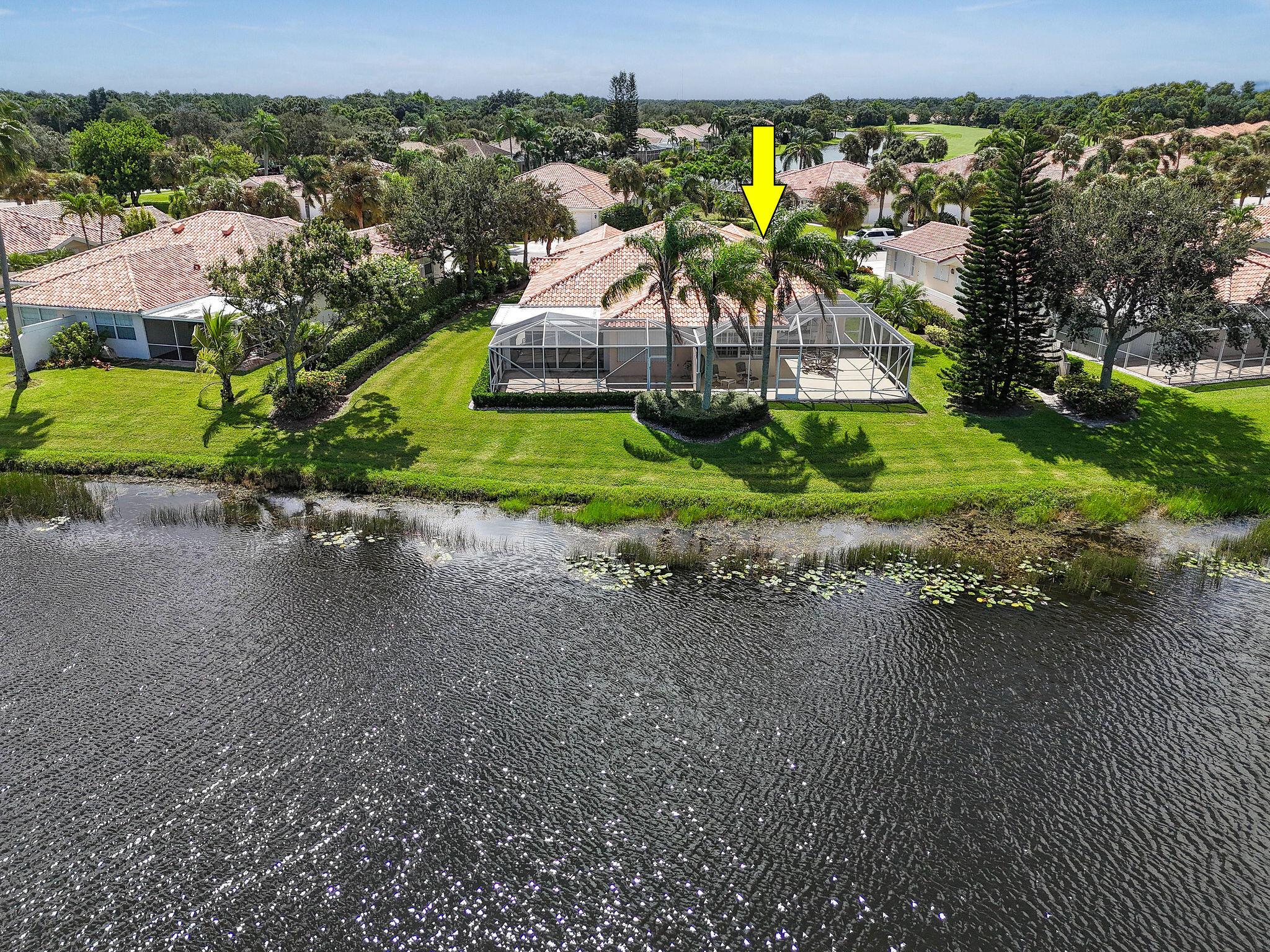 Double Tree - Residential