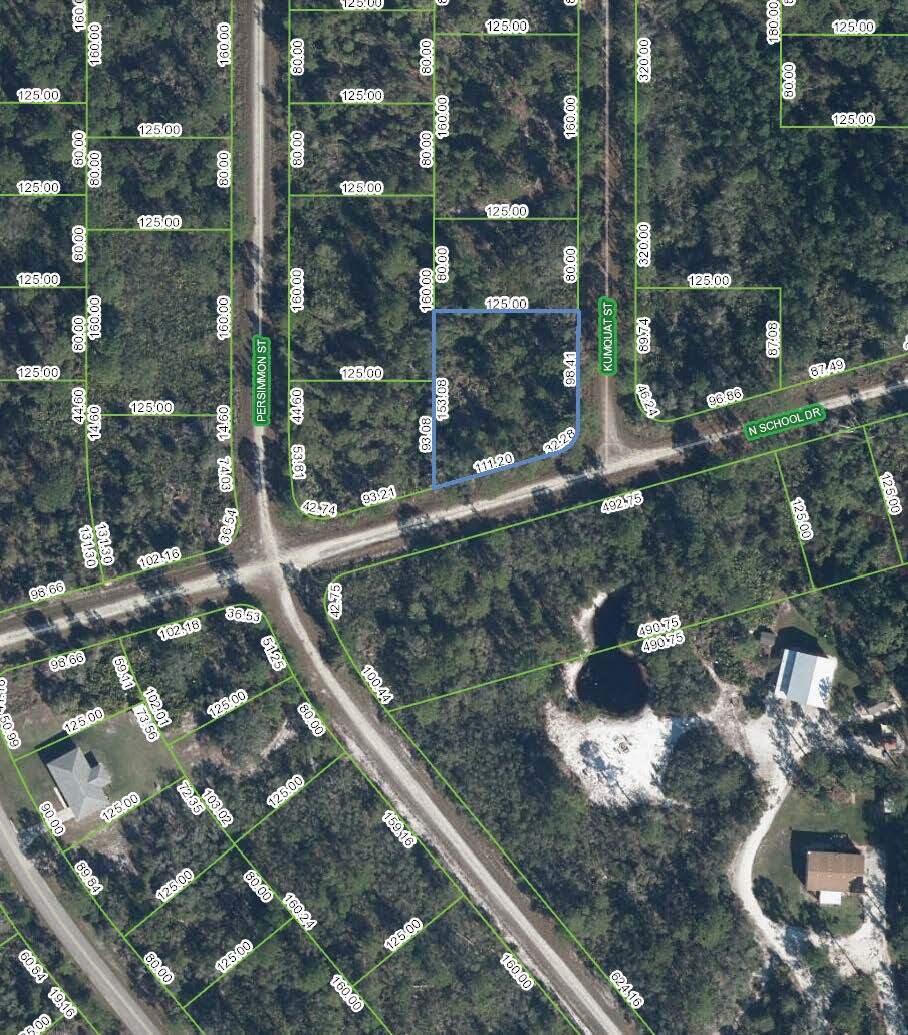 LARGE VACANT RESIDENTIAL BUILDING LOT LOCATED IN LEISURE LAKES NEIGHBORHOOD OF LAKE PLACID. LIKE HILL, LAKE CARRIE, LAKE FRANCIS ALL SURROUNDS THIS PROPERTY. EACH LAKE CAN BE REACHED WITHIN A FEW MINUTE WALK. LOT SIZE IS 127' X 126'. HIGHLANDS COUNTY DOES NOT HAVE IMPACT FEES FOR NEW HOME CONSTRUCTION.