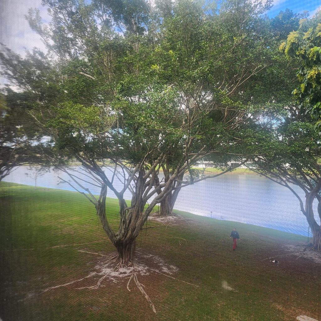 Photo of 9430 Poinciana Place #305, Davie, FL 33324 (MLS # F10549502)