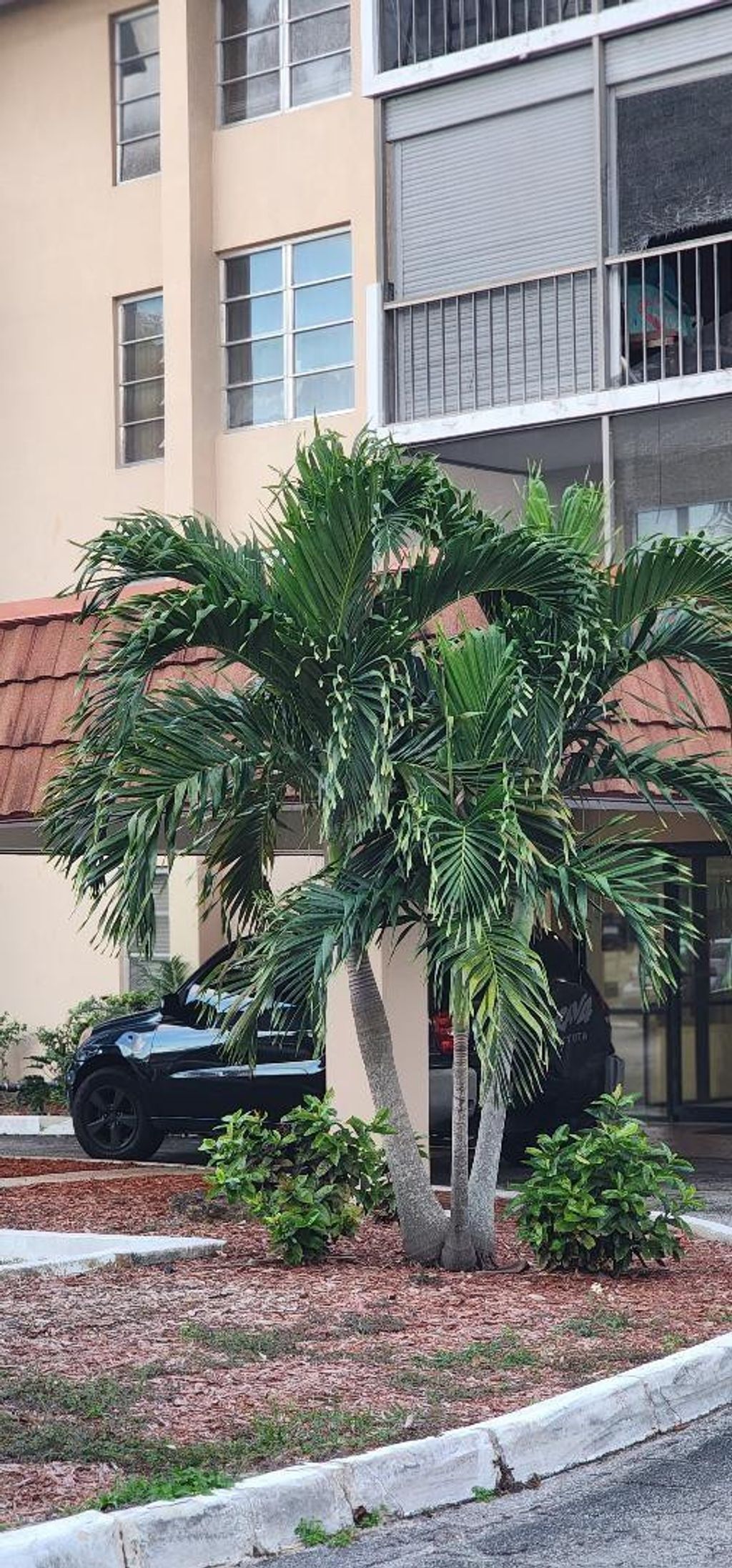 Photo of 4168 Inverrary Drive #209, Lauderhill, FL 33319 (MLS # B26022444)