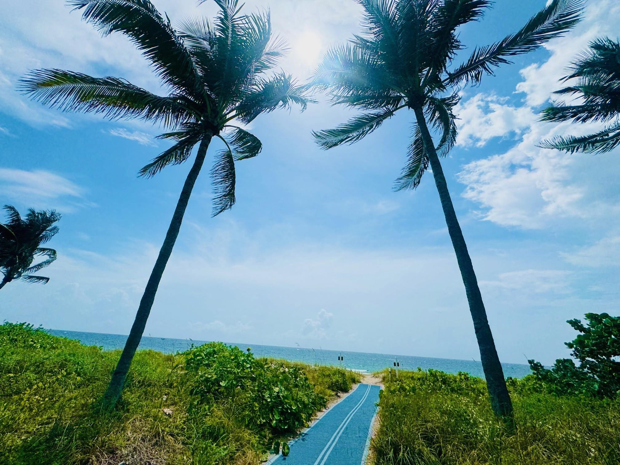 Palm Yacht & Beach Club - Residential