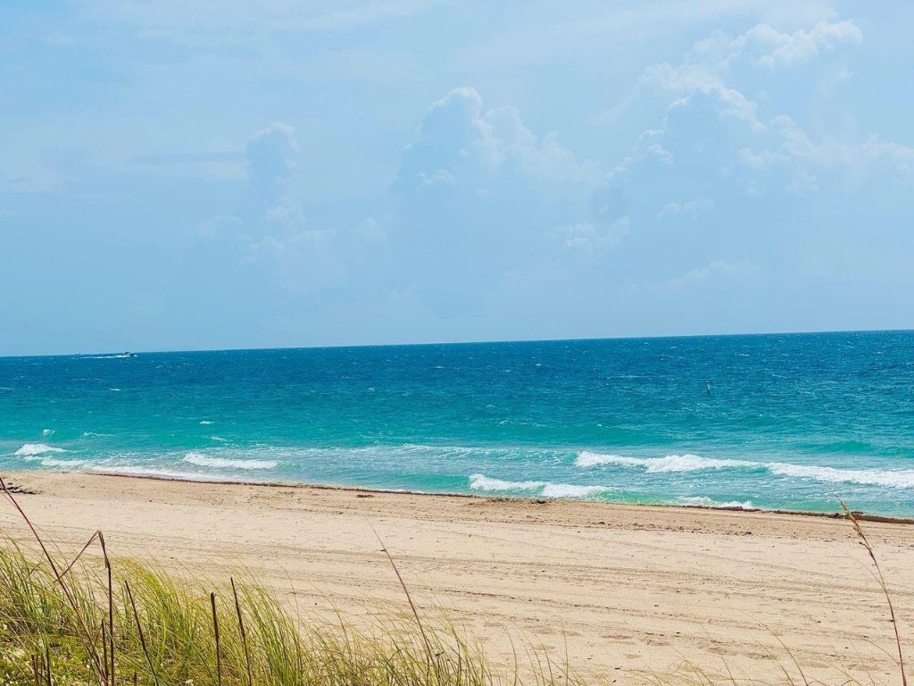 Palm Club Co-Op - Residential