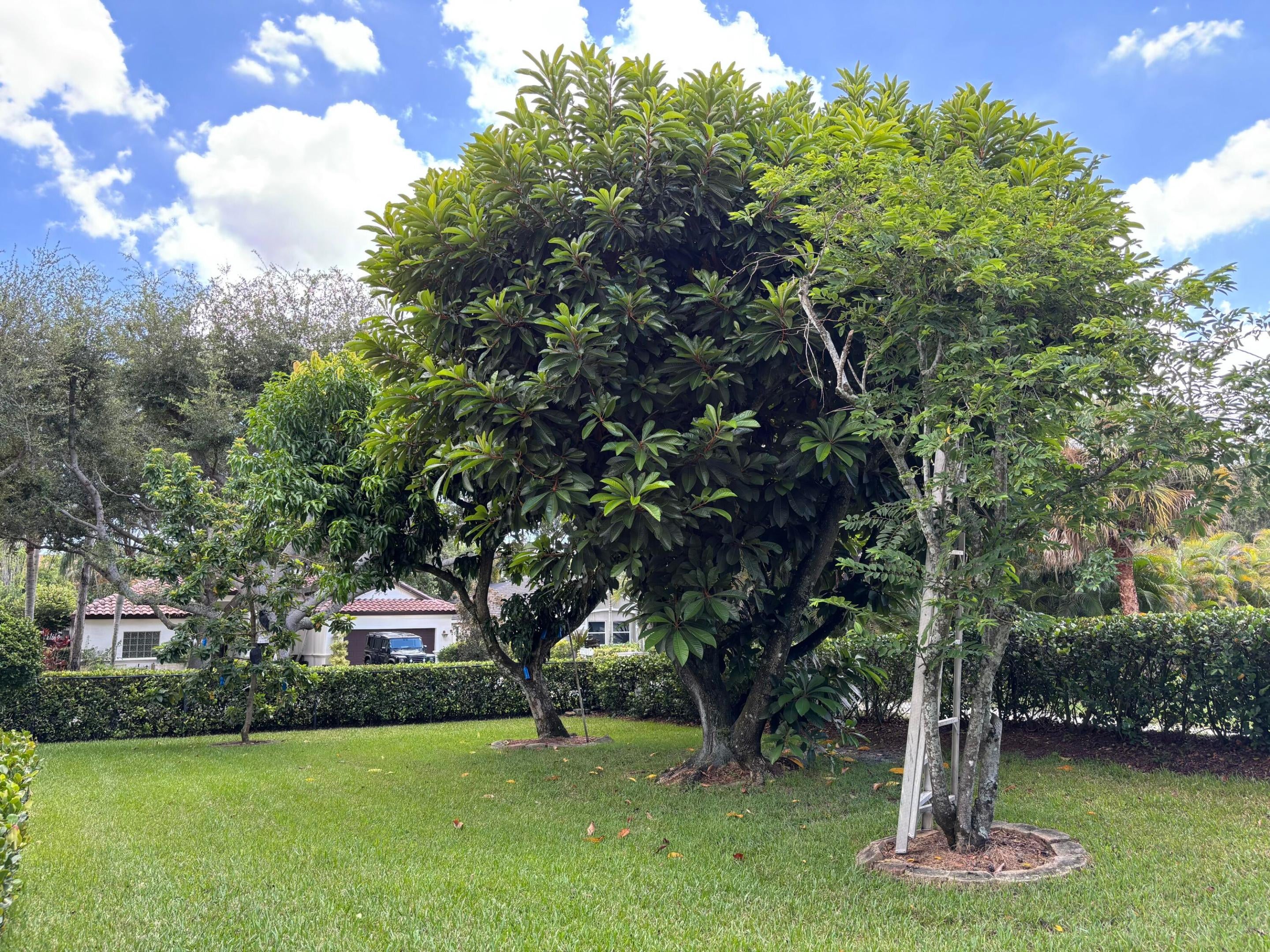 391 Mallard Point
