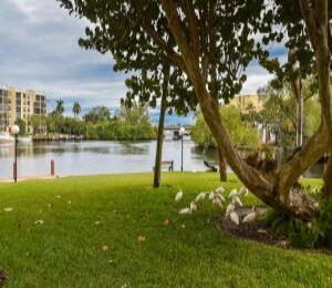 BOCA BAYOU CONDO - Residential Lease