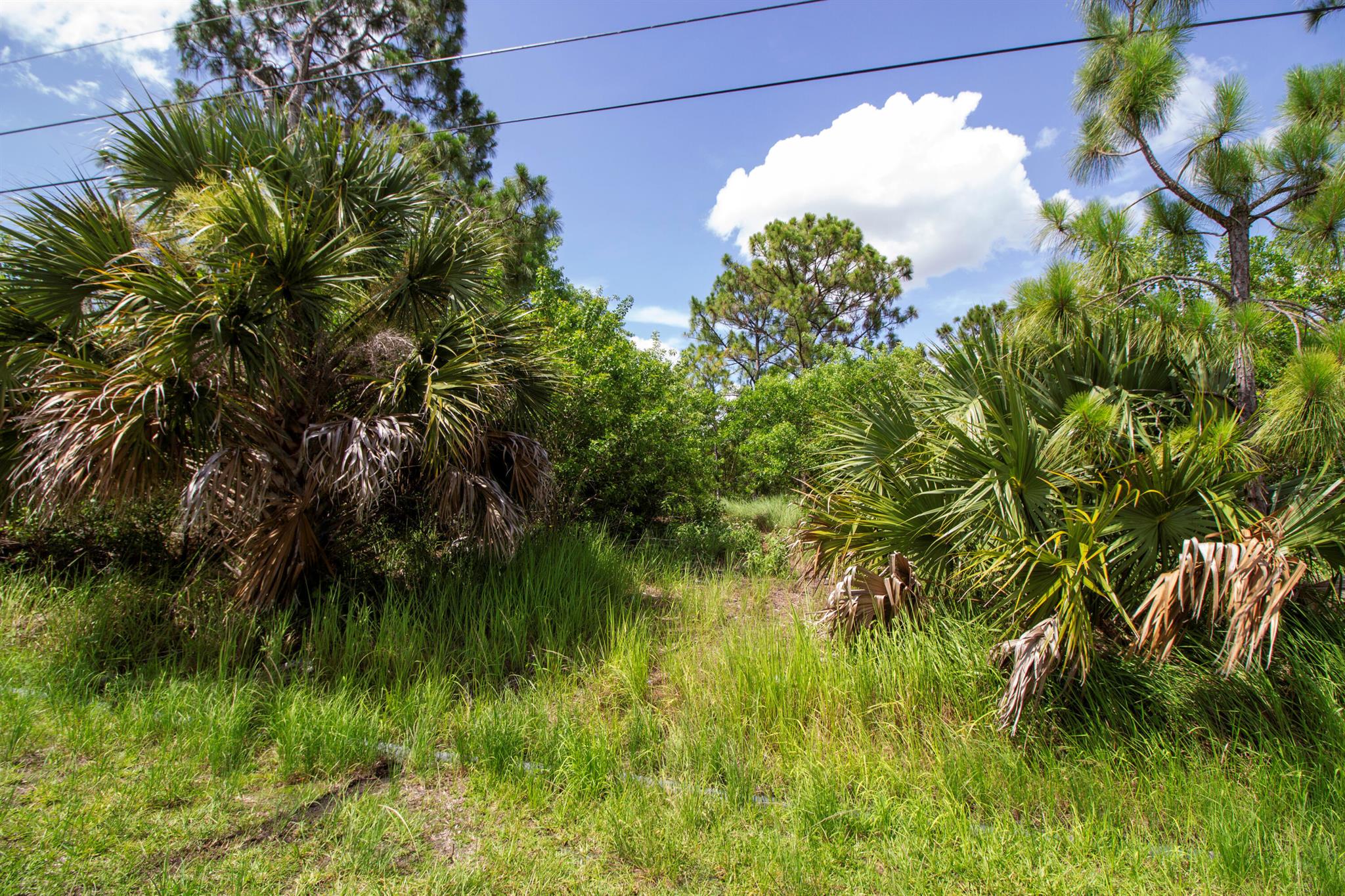 Discover the perfect lot to build your dream home, conveniently located near Tradition, shopping, restaurants, I-95, and the Turnpike. This property adjoins a drainage right-of-way, offering additional space between you and your neighbors for enhanced privacy. Revel in the expansive views in this stunning neighborhood.