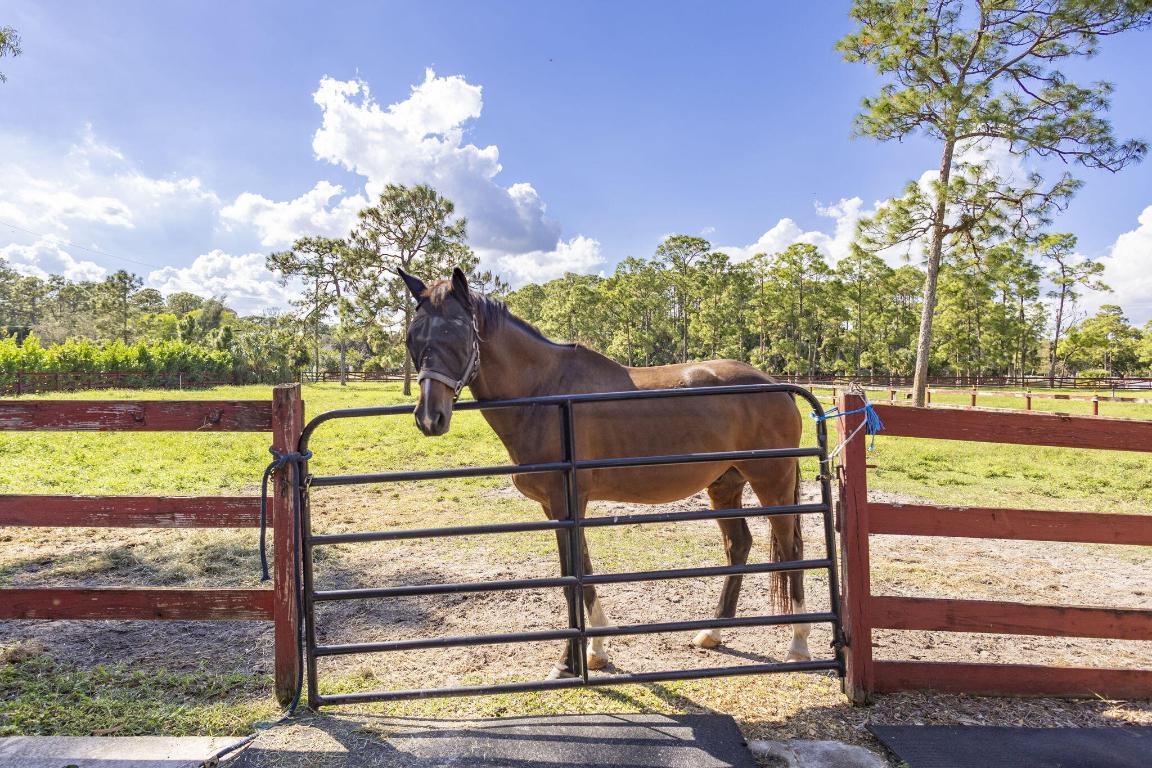 Fox Trail - Residential Lease