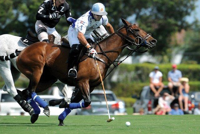 5000 NORTH OCEAN - Residential