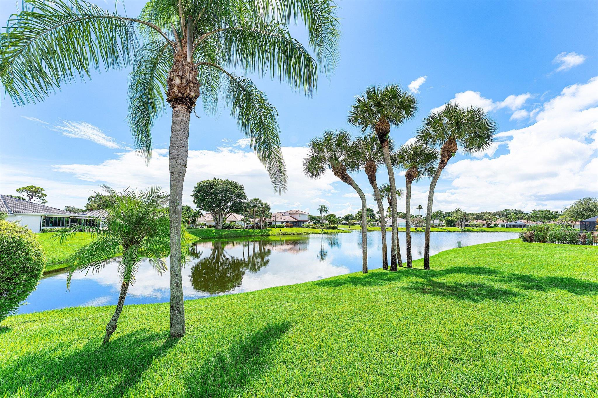 WOODS AT HUNTERS RUN COND - Residential