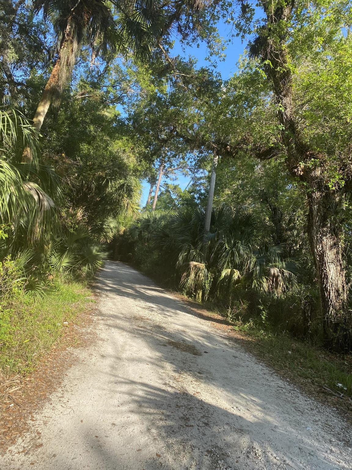 On a large lot. Secluded, yet close to everything. Build your dream home in the old Florida tradition. Offer must be summited with Proof Of Fund or Pre-approval letter.