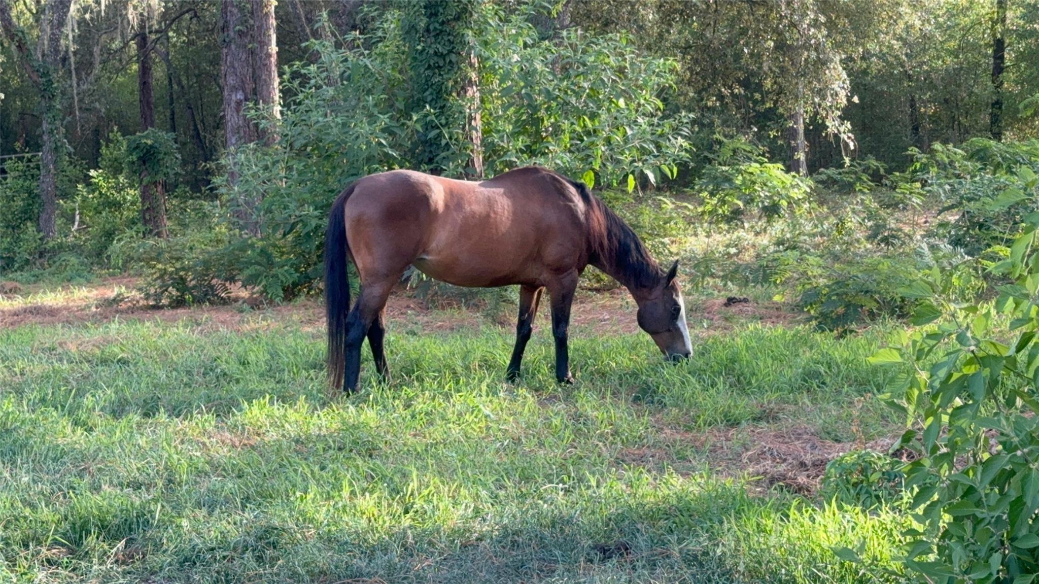 Deerwood - Residential