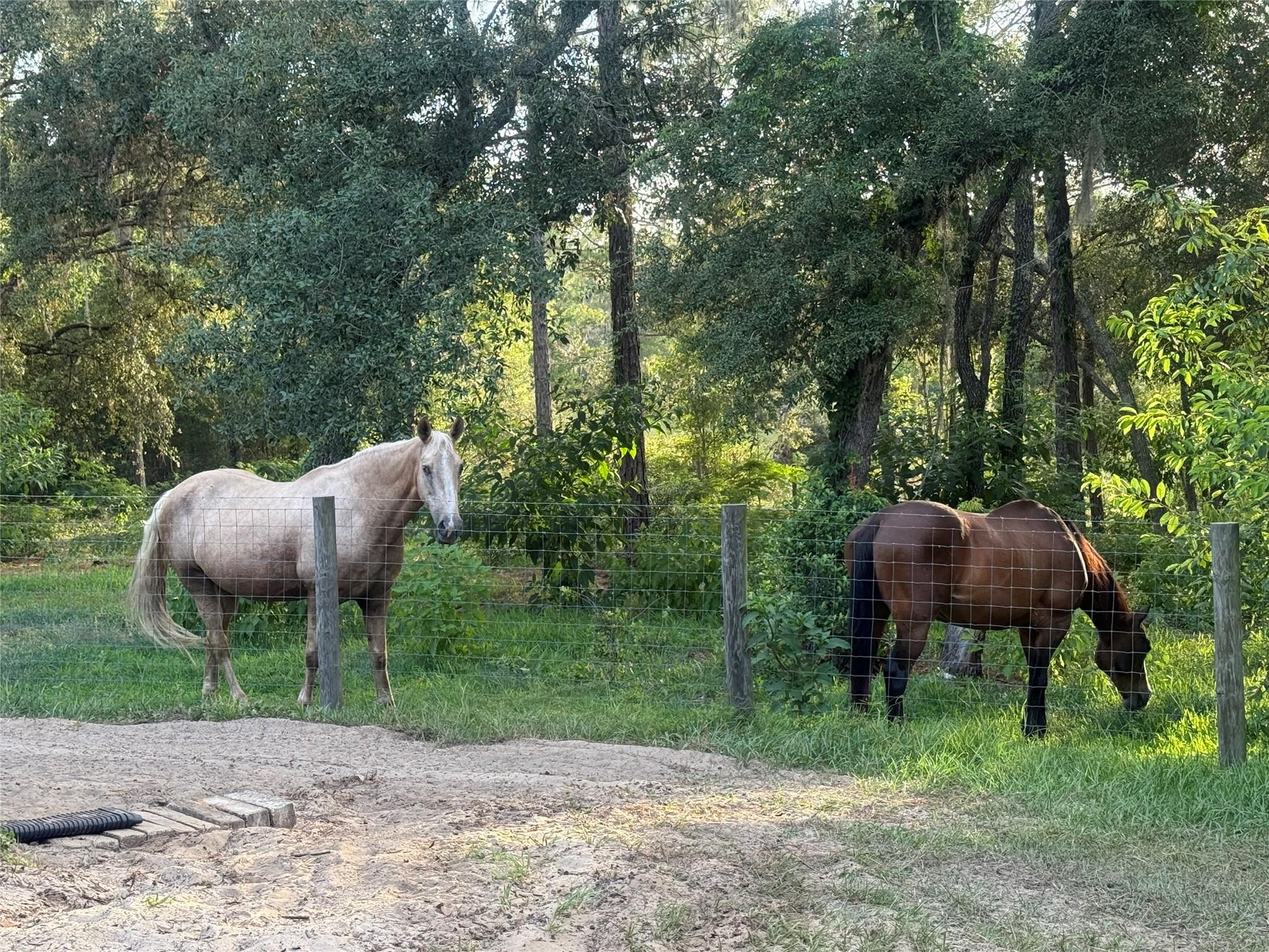 Deerwood - Residential