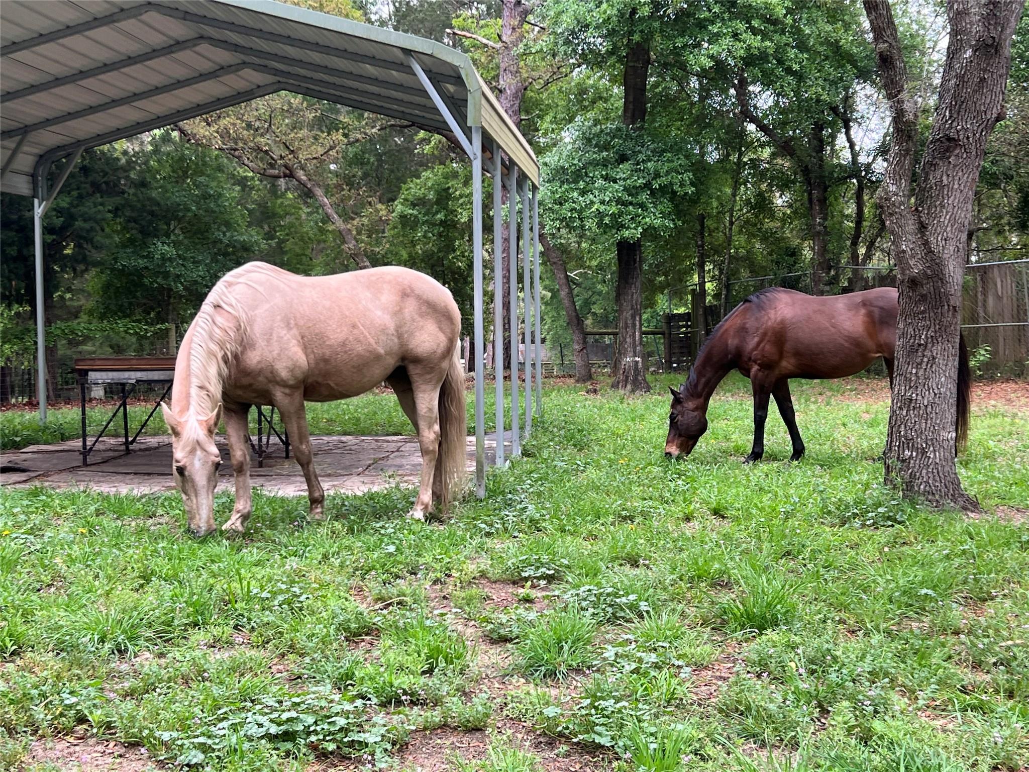 Deerwood - Residential