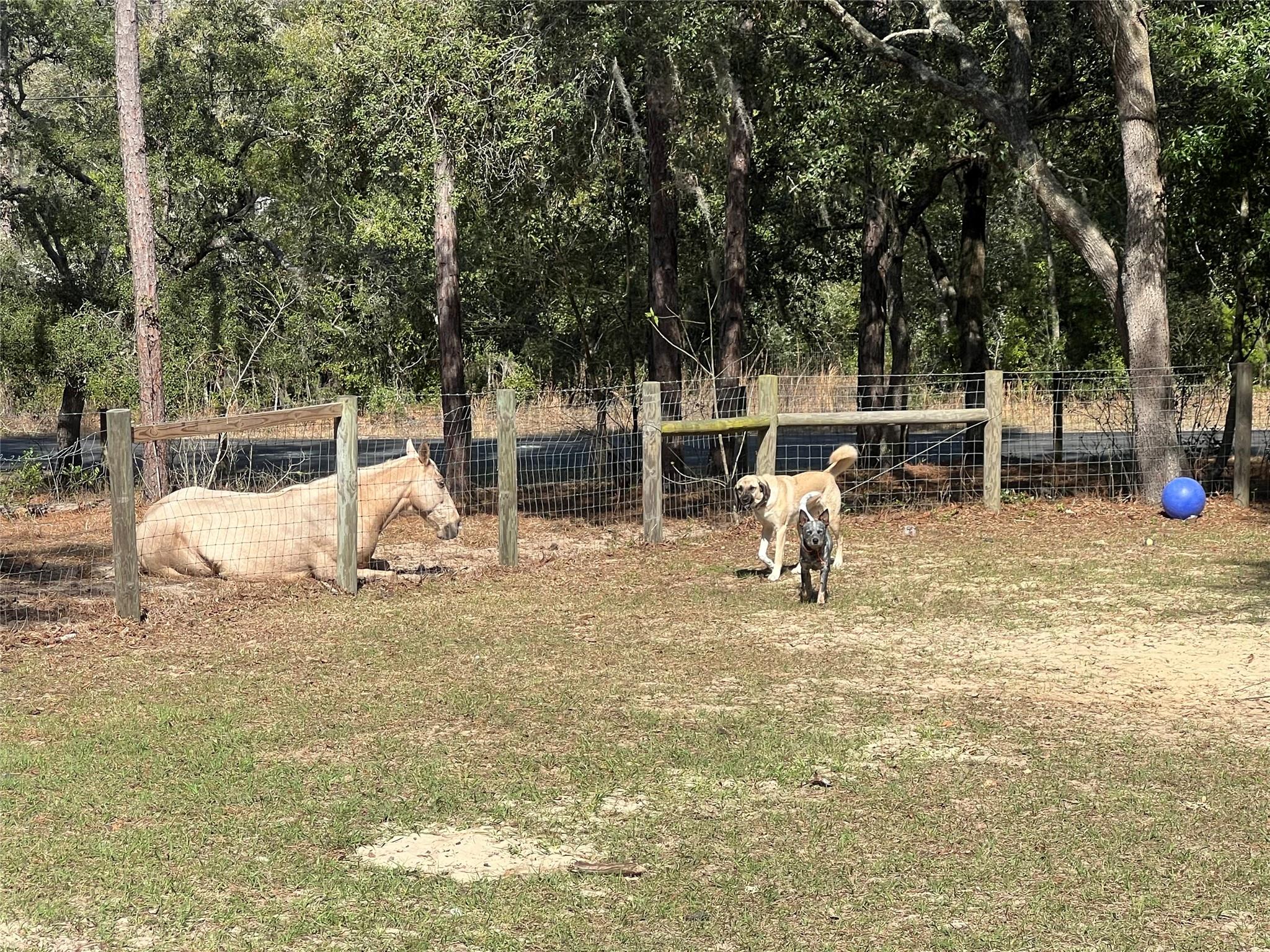 Deerwood - Residential