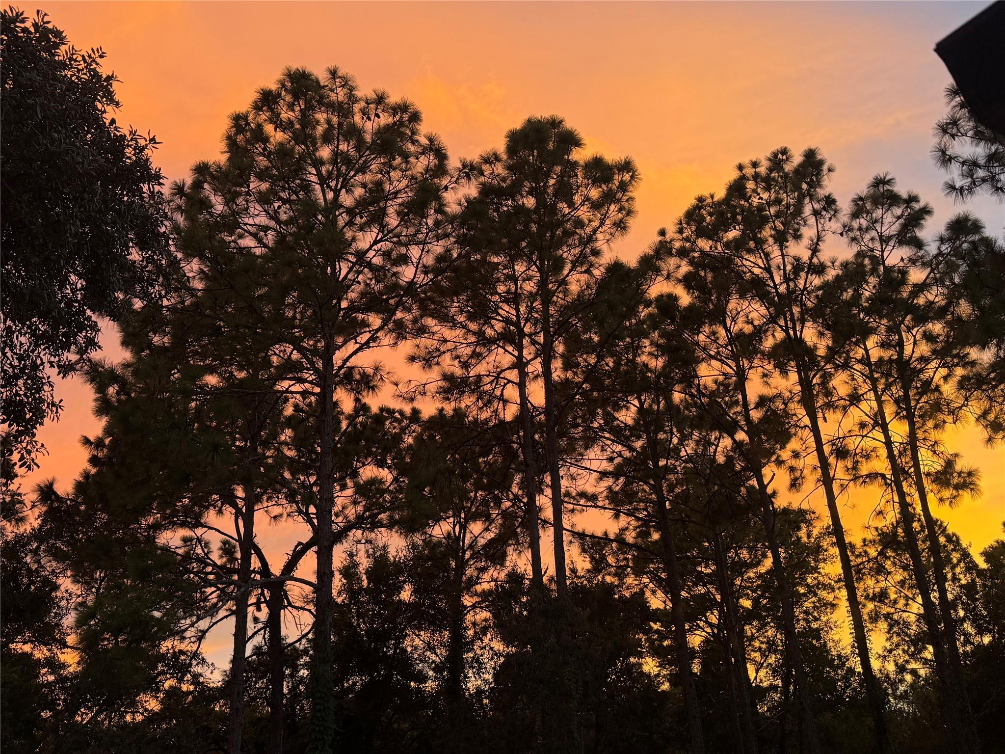 Deerwood - Residential