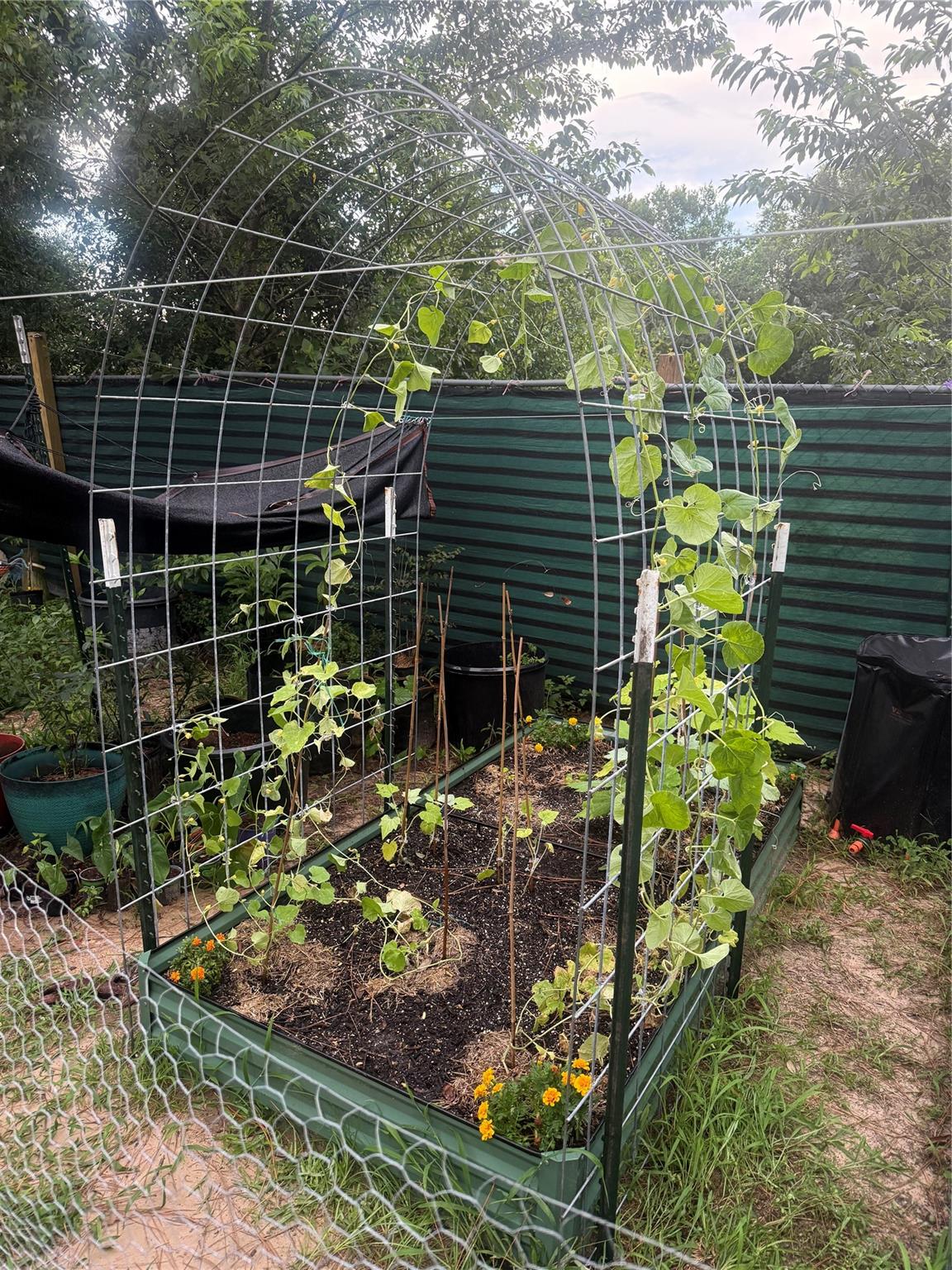 Deerwood - Residential