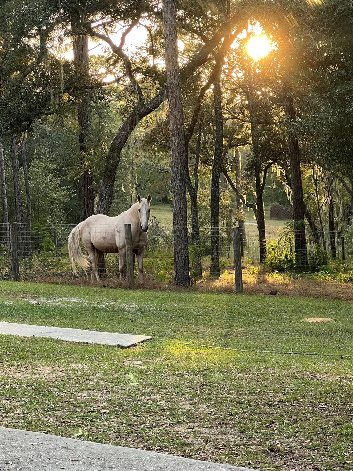 Deerwood - Residential