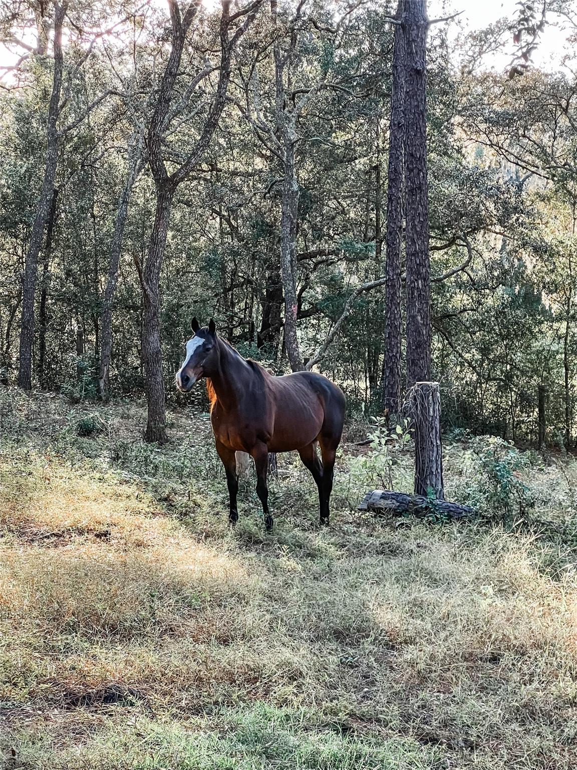 Deerwood - Residential