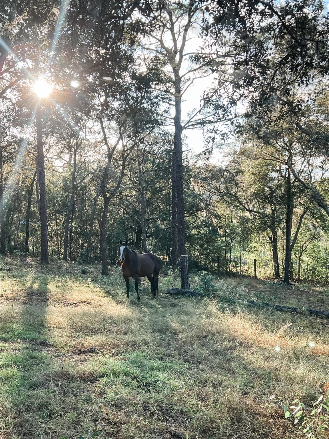 Deerwood - Residential