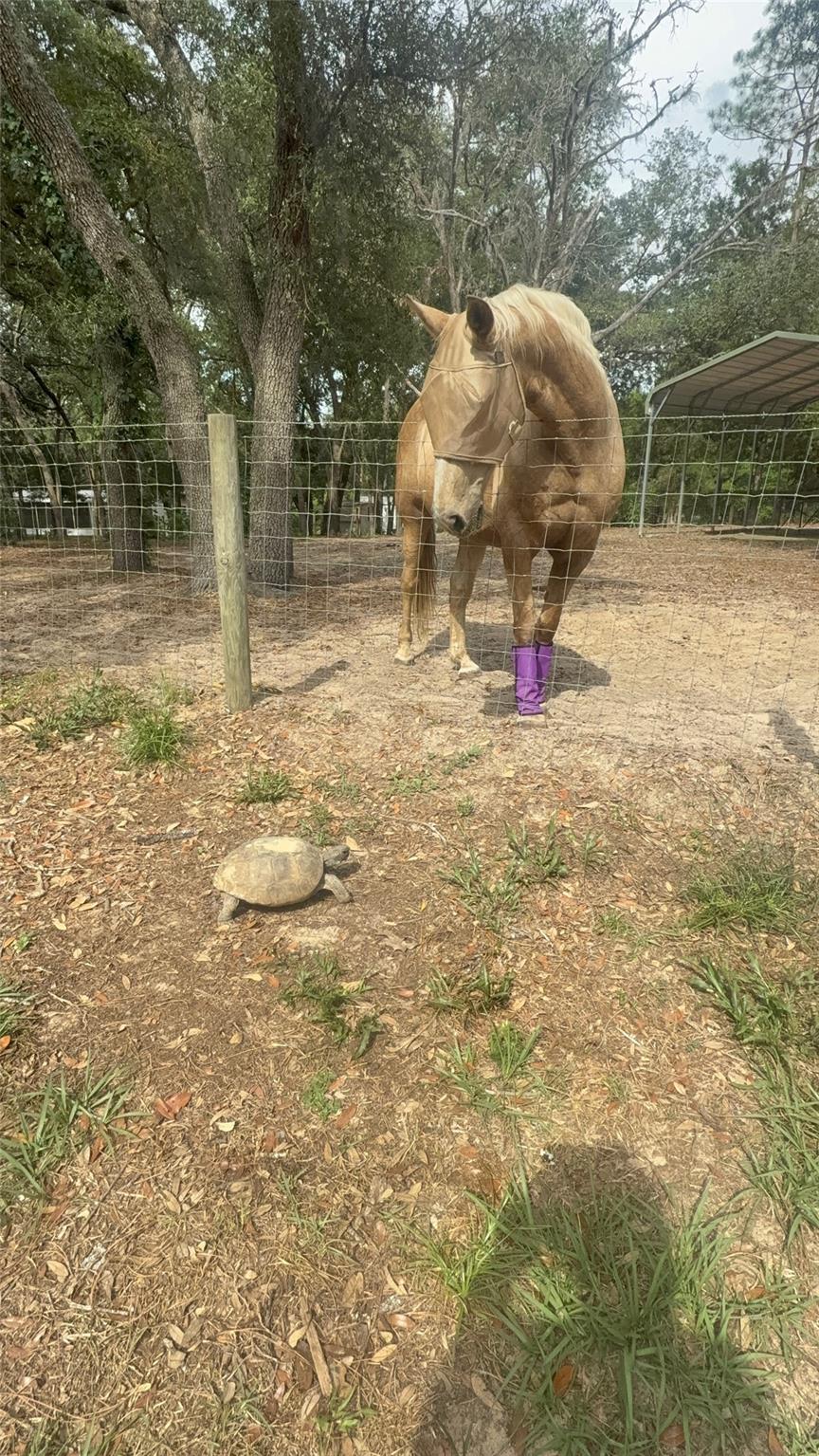 Deerwood - Residential