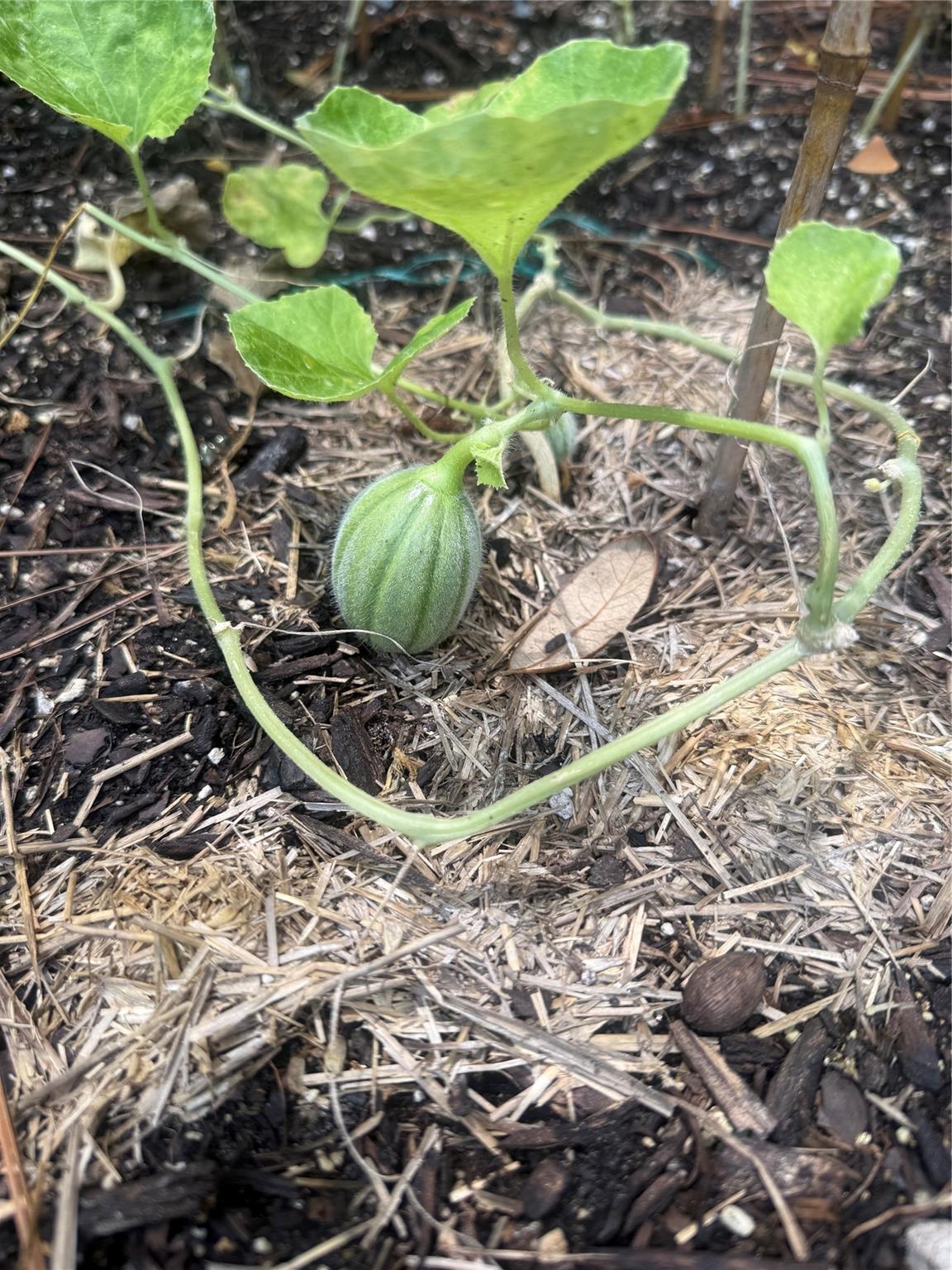 Deerwood - Residential