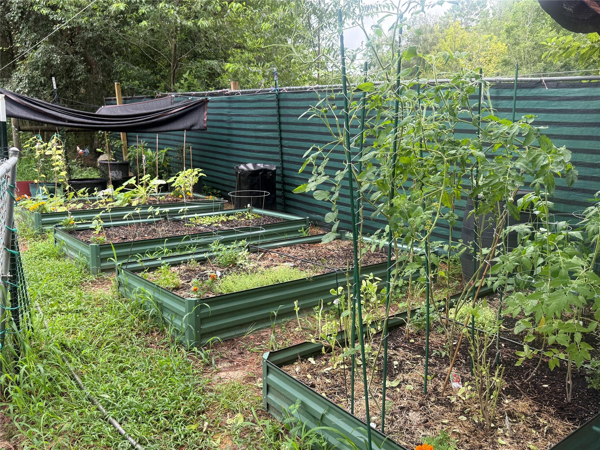 Deerwood - Residential