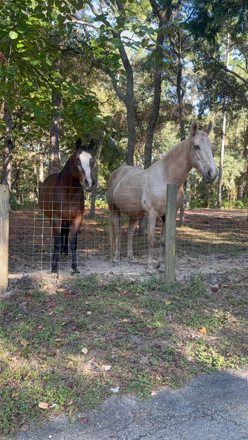 Deerwood - Residential