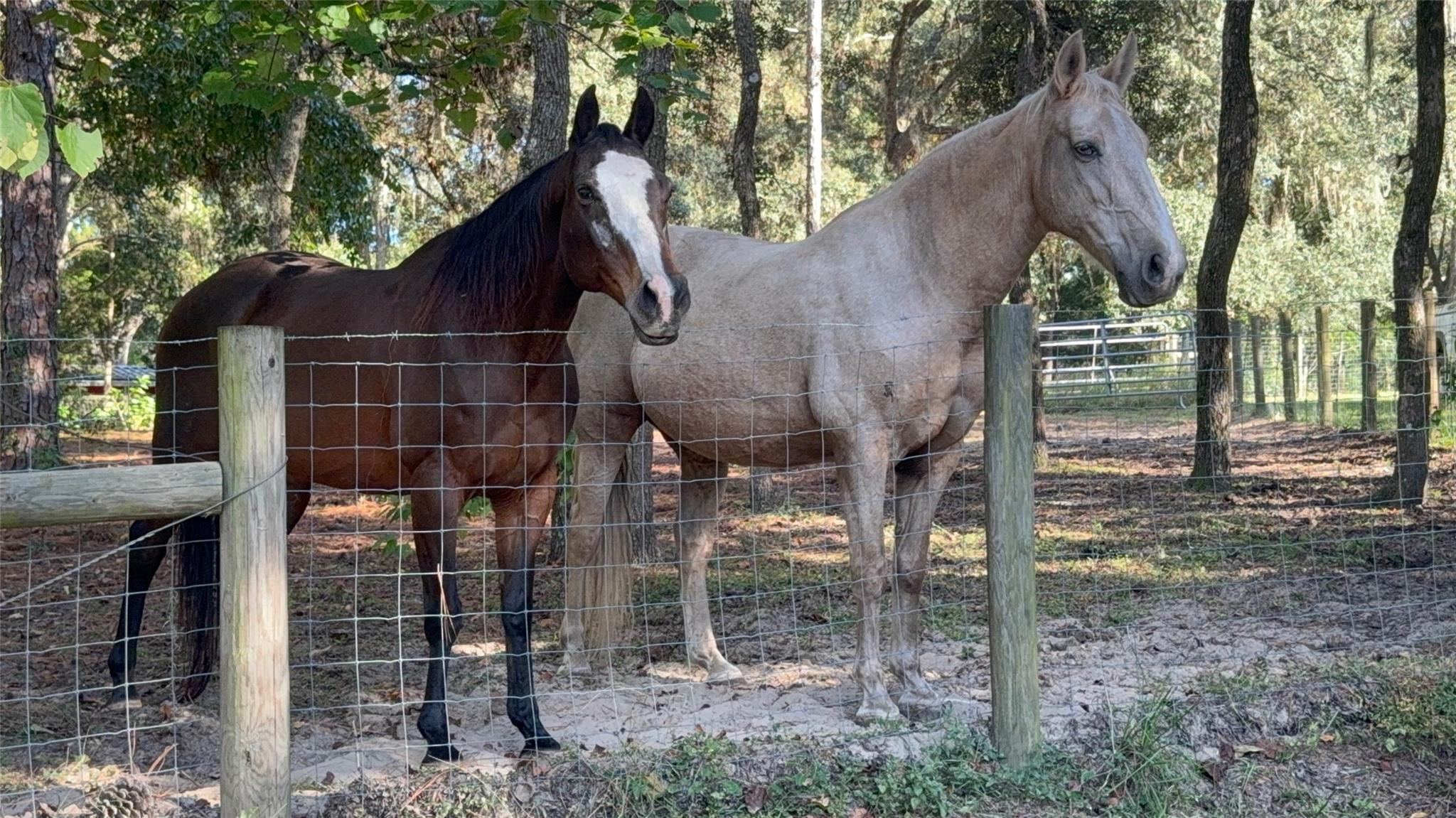 Deerwood - Residential