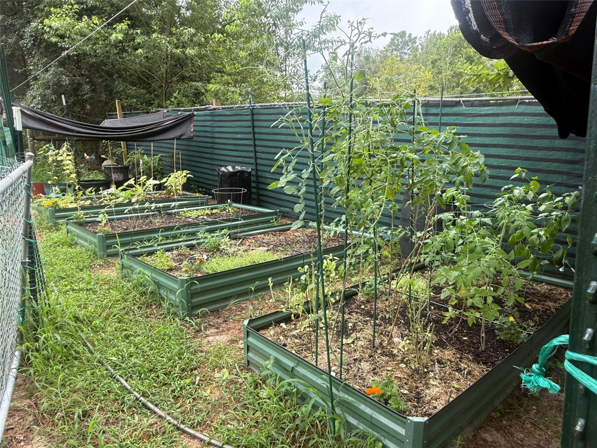 Deerwood - Residential