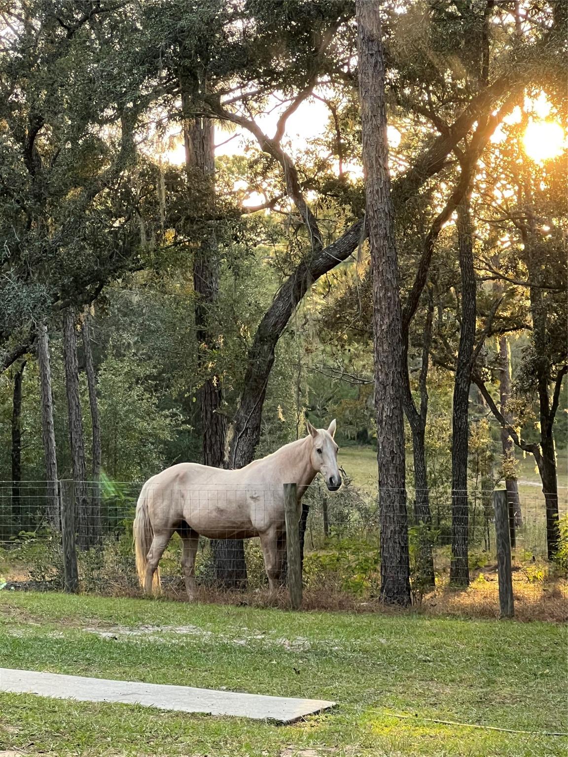 Deerwood - Residential