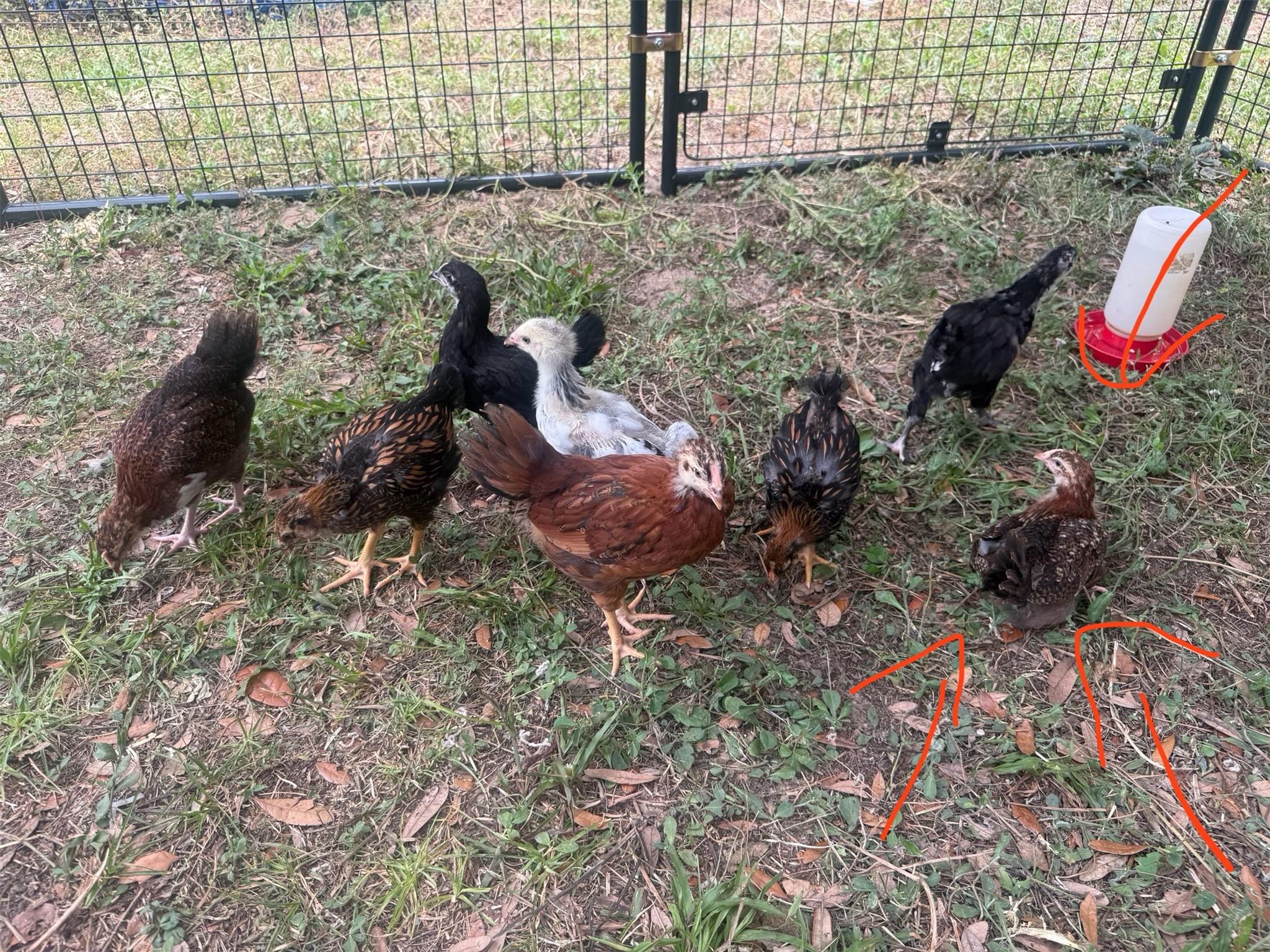 Deerwood - Residential