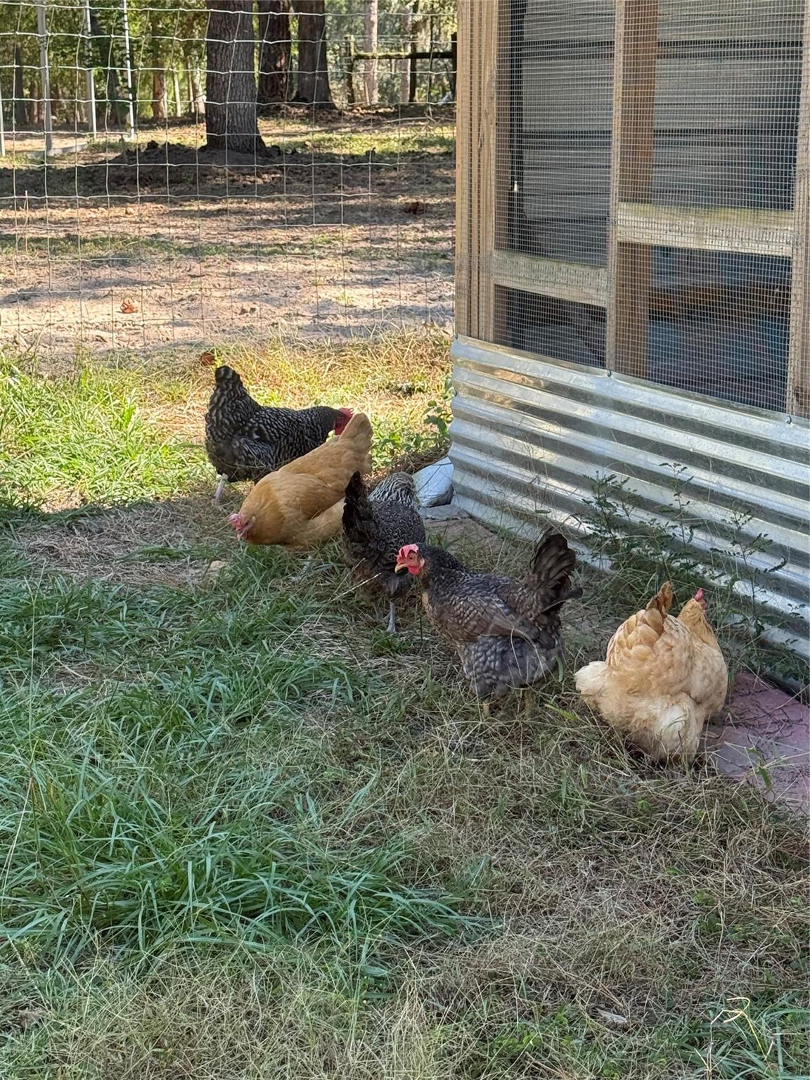 Deerwood - Residential