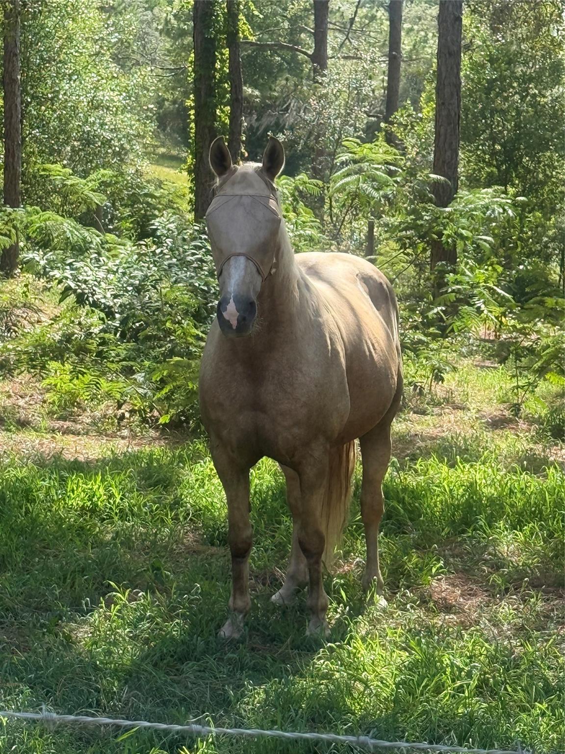 Deerwood - Residential