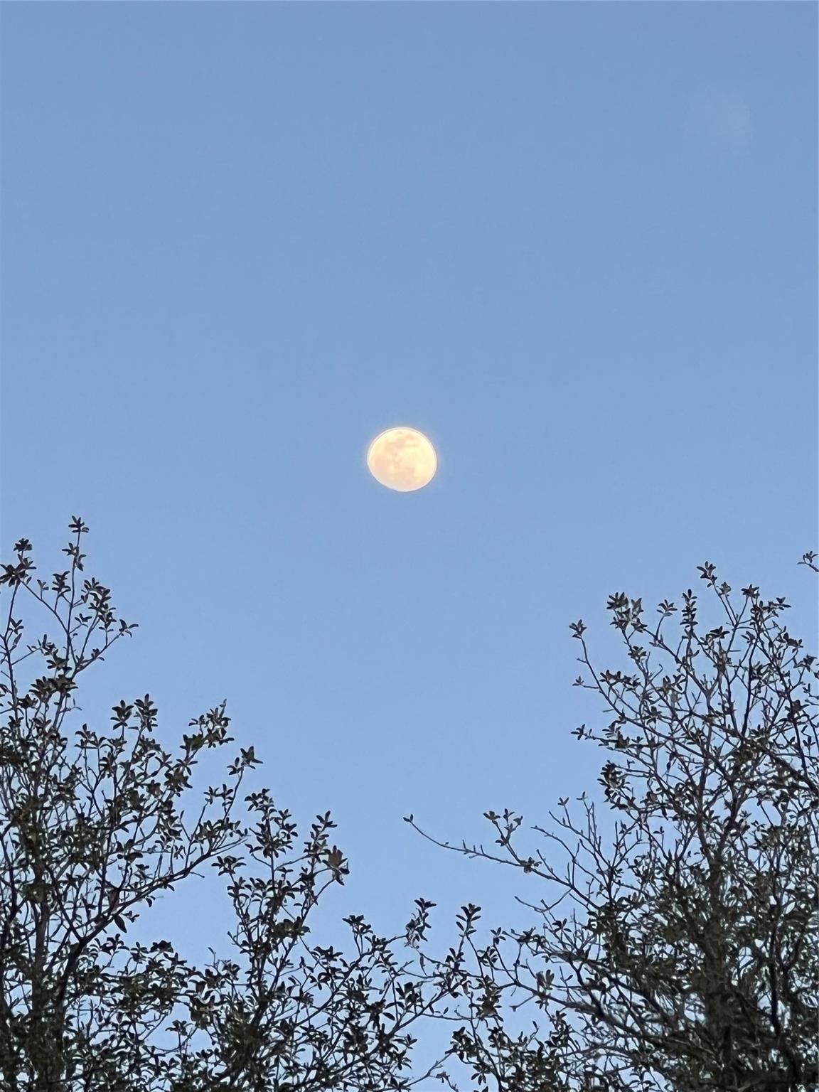 Deerwood - Residential